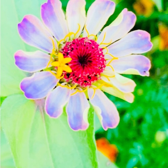 Meet your Posher, Terri lynn - Picture 10 of 16